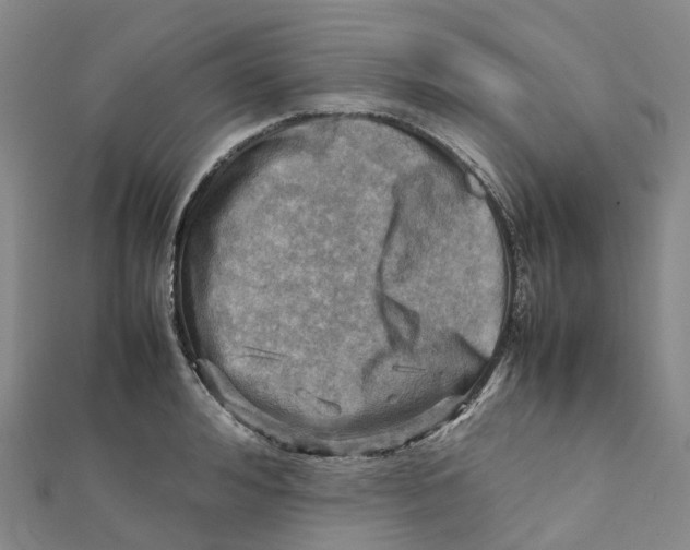 X0000112090992200909011100