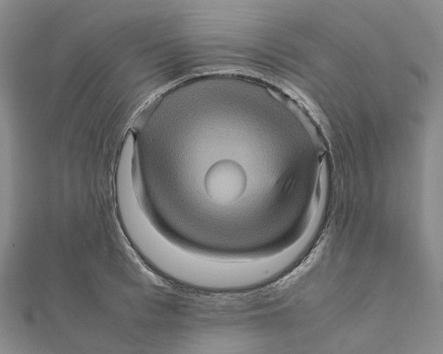 X0000112090993200909011100