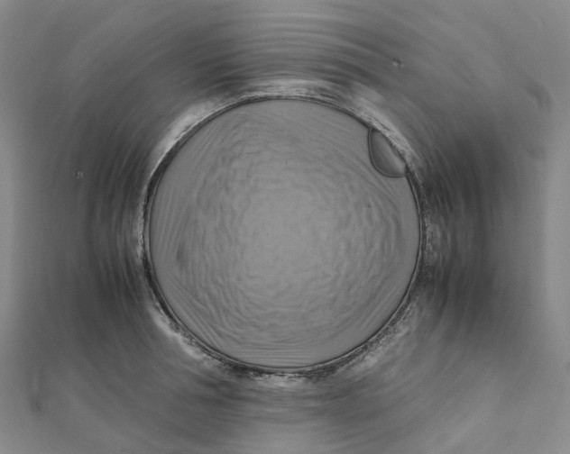 X0000112090994200909011100