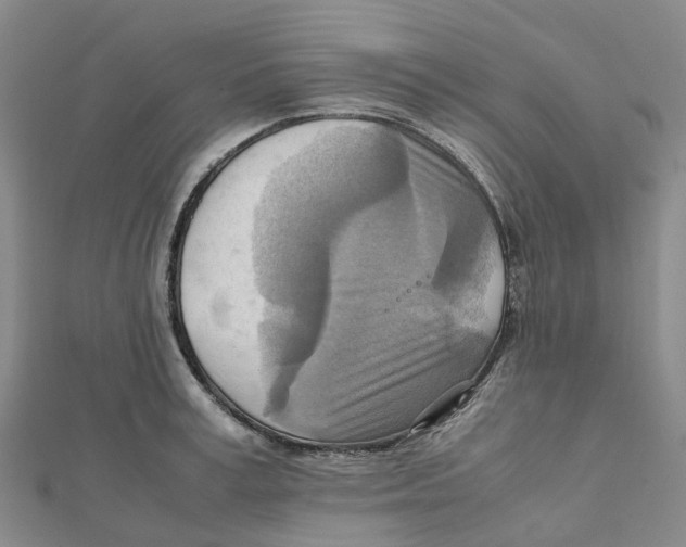 X0000112090995200909011100