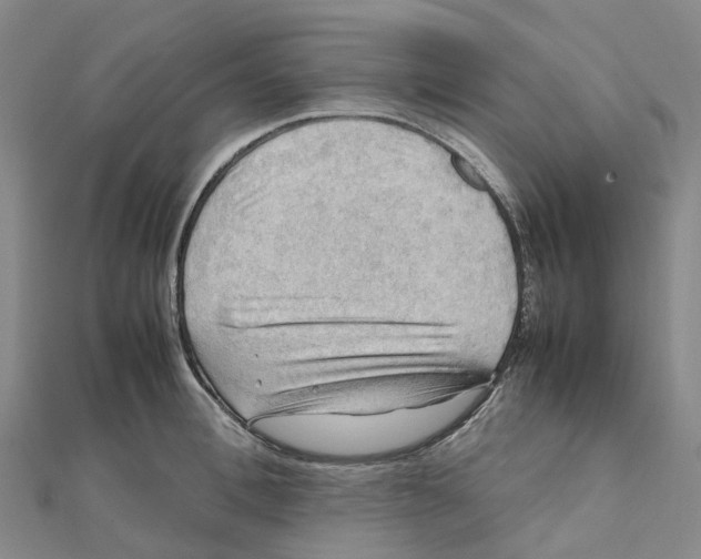 X0000112090996200909011100
