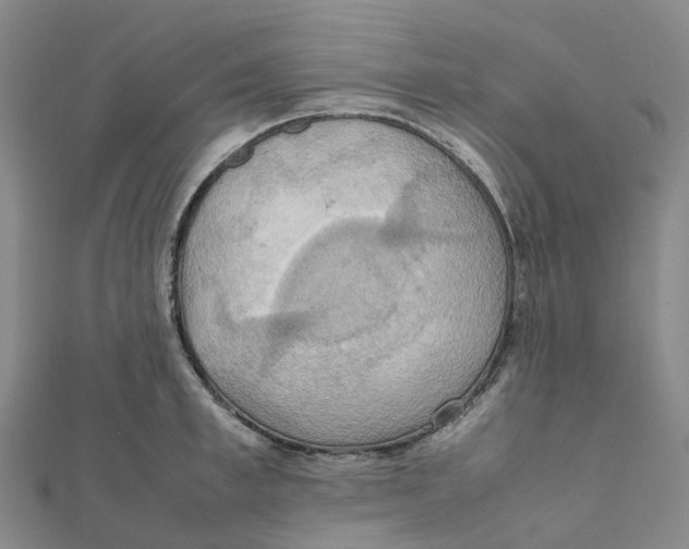 X0000112090997200909011100