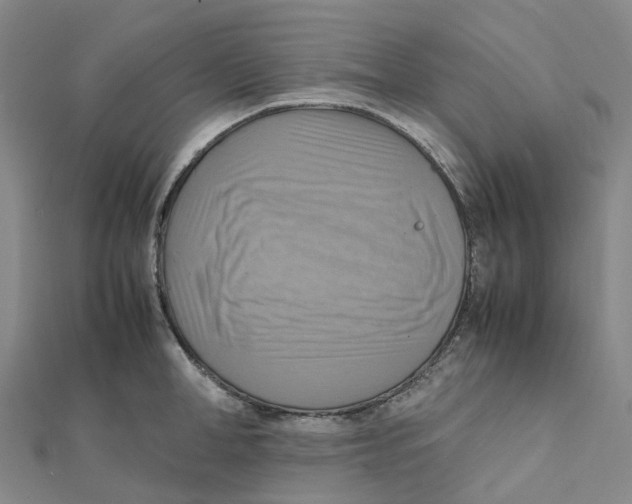 X0000112090998200909011100