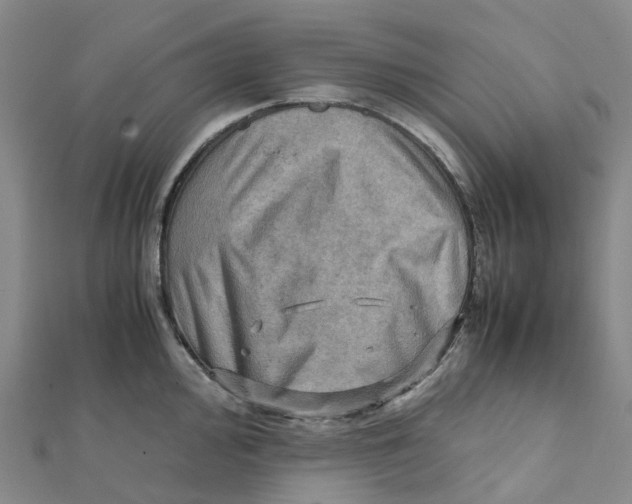 X0000112091000200909011100