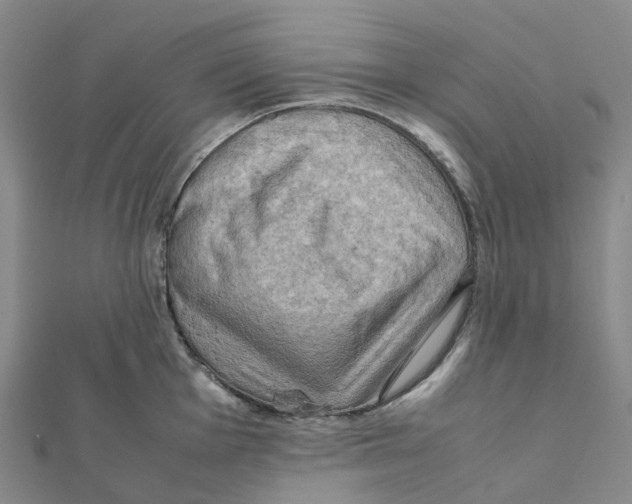 X0000112091001200909011100