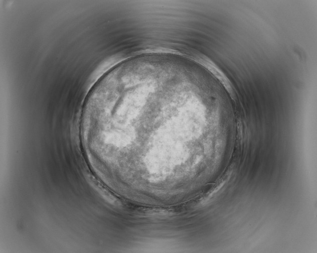 X0000112091002200909011100