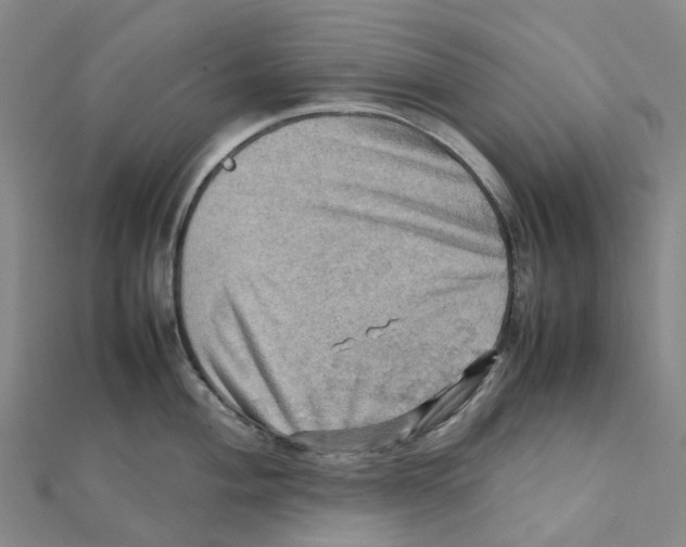 X0000112091004200909011100