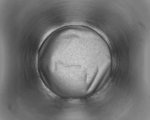 X0000112091006200909011100