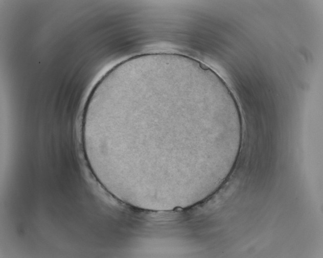 X0000112091008200909011100