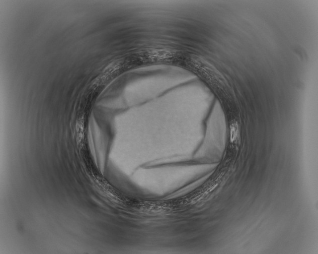 X0000112091011200909011100