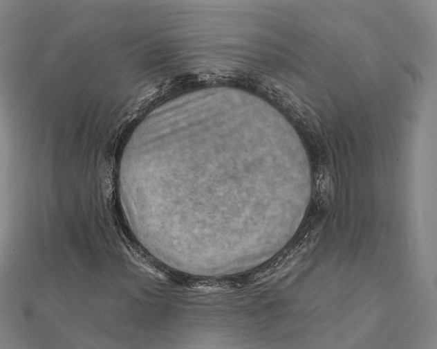 X0000112091012200909011100