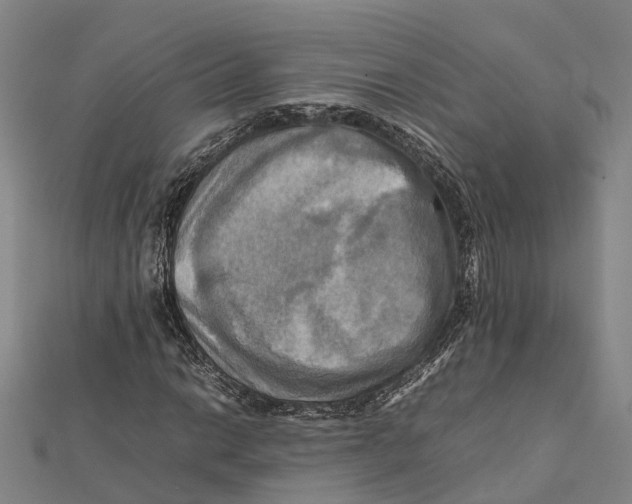 X0000112091014200909011100
