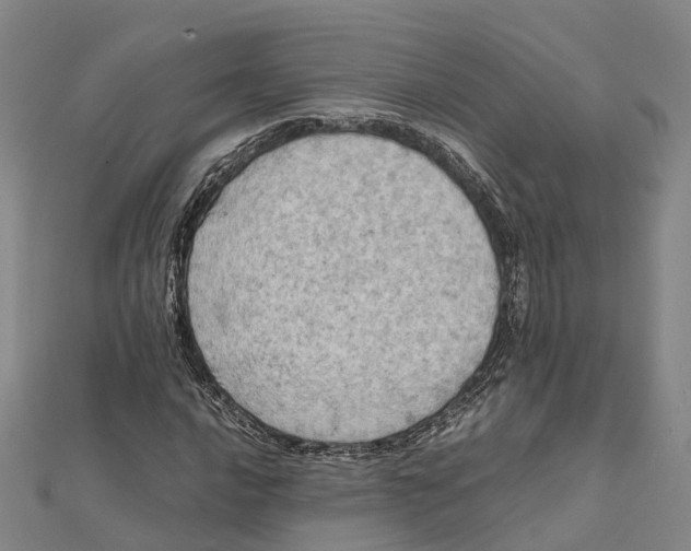 X0000112091016200909011100
