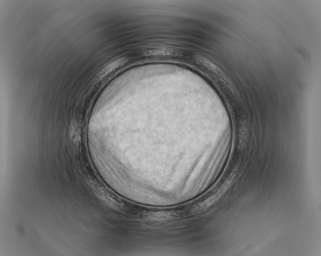 X0000112091017200909011100