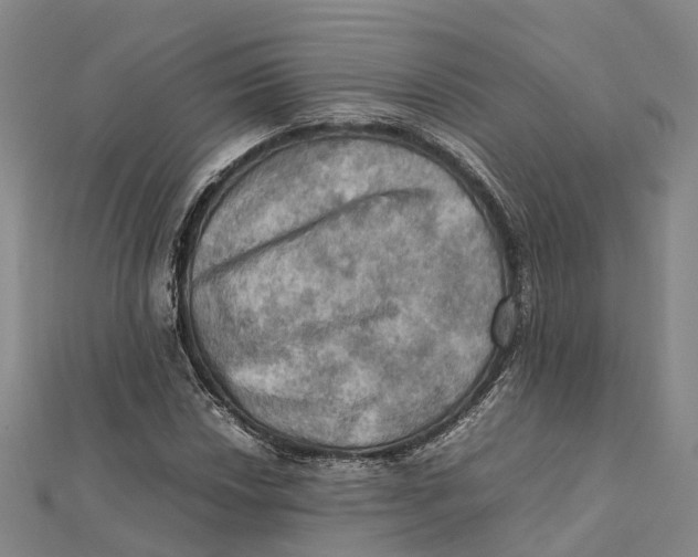 X0000112091018200909011100