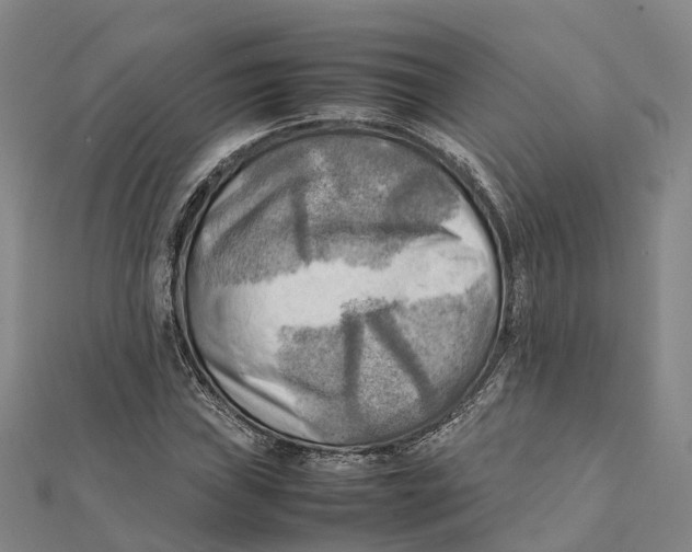 X0000112091019200909011100