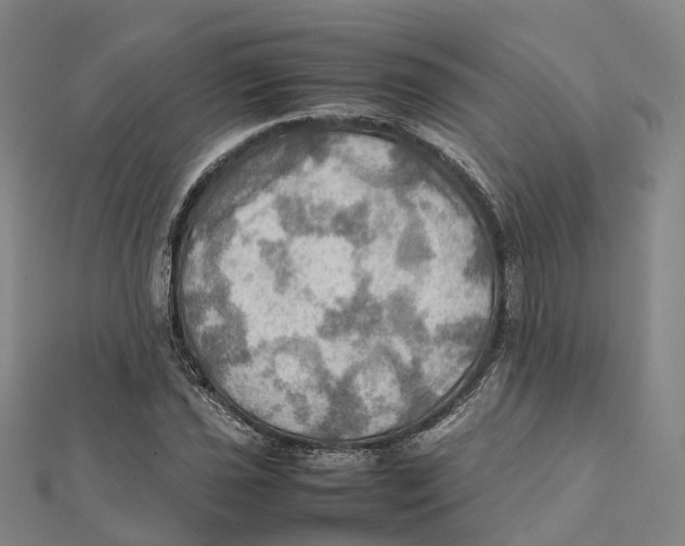 X0000112091021200909011100