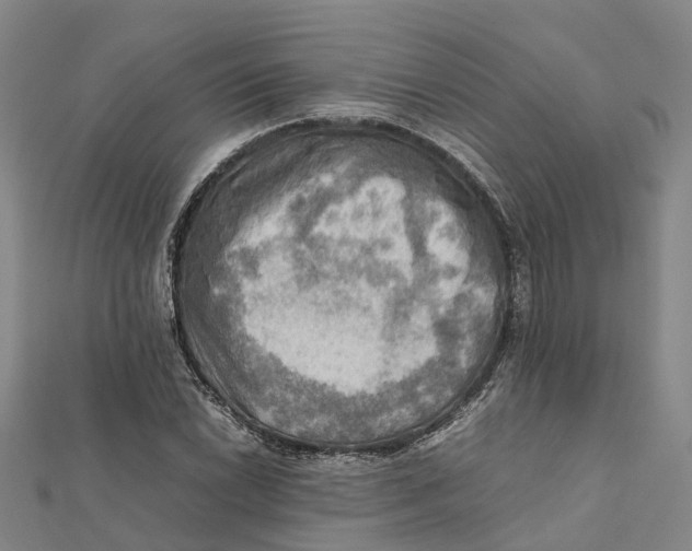 X0000112091022200909011100