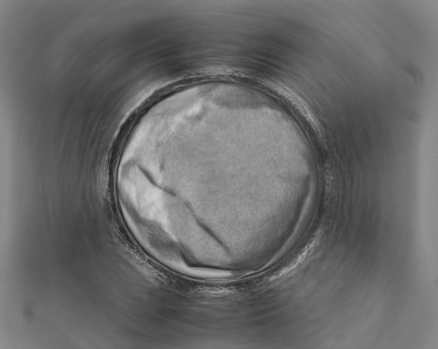 X0000112091023200909011100