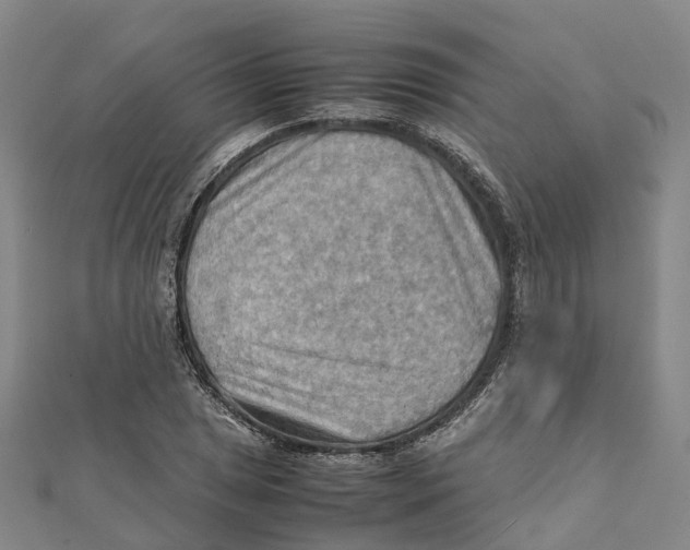 X0000112091025200909011100