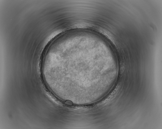X0000112091026200909011100