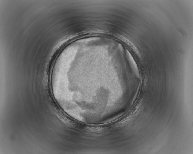 X0000112091027200909011100