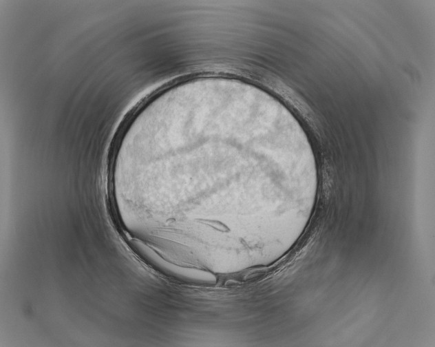 X0000112091028200909011100