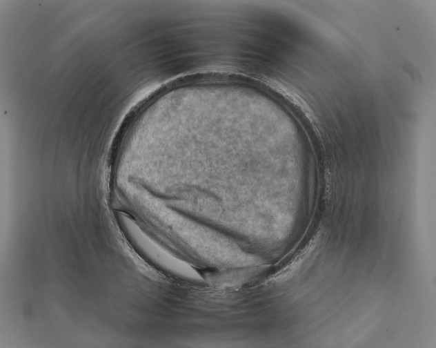 X0000112091029200909011100