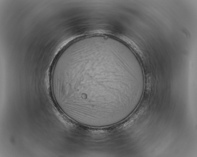 X0000112091031200909011100