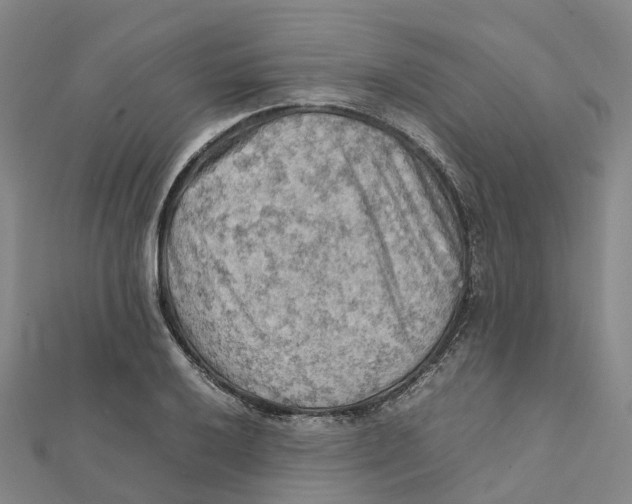 X0000112091032200909011100