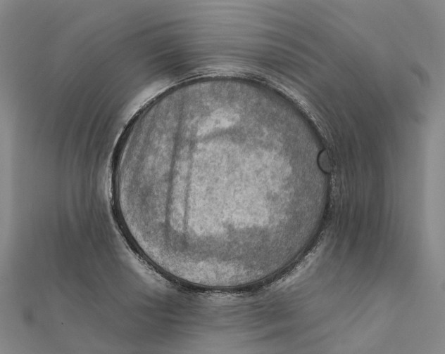 X0000112091034200909011100