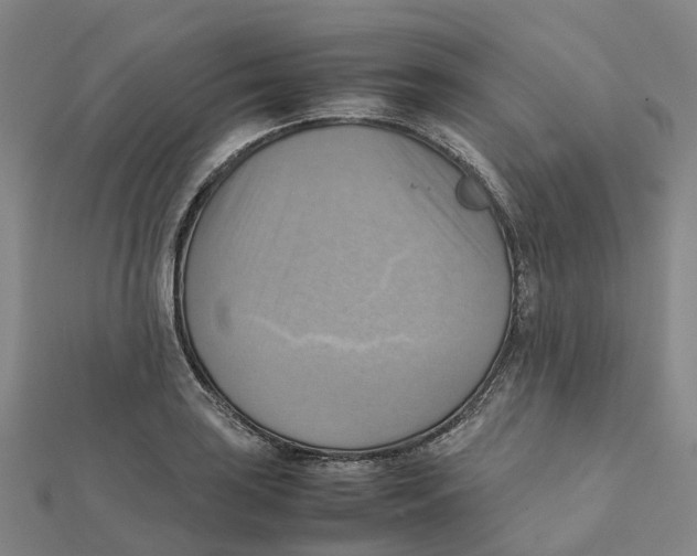 X0000112091035200909011100