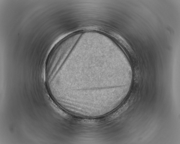 X0000112091036200909011100