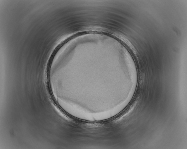 X0000112091037200909011100