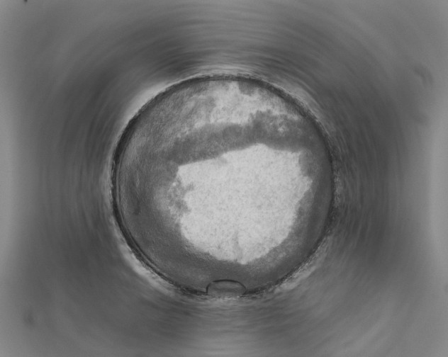 X0000112091038200909011100