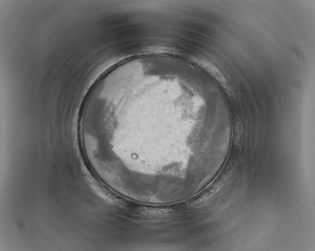 X0000112091039200909011100