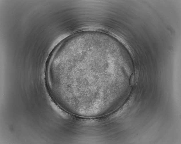 X0000112091042200909011100