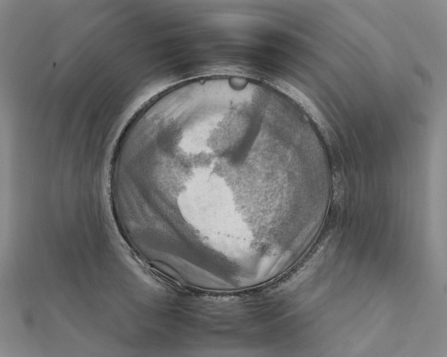 X0000112091043200909011100