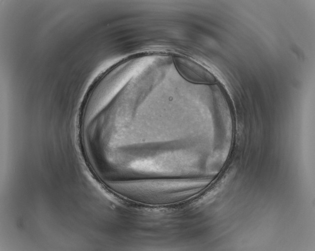 X0000112091045200909011100