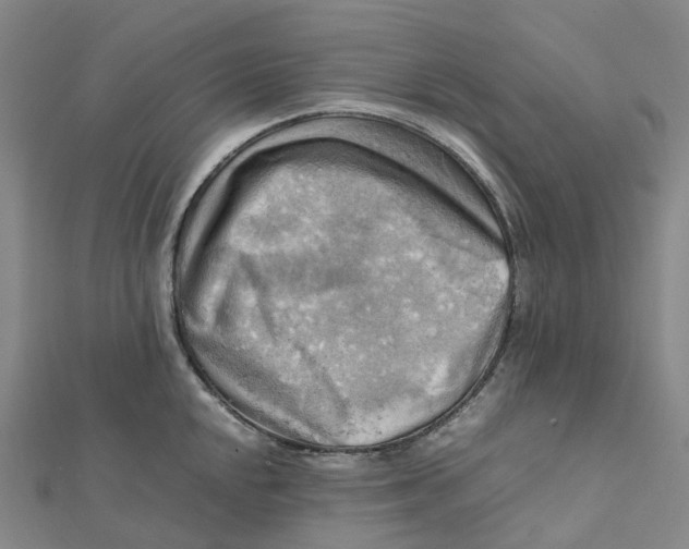 X0000112091048200909011100