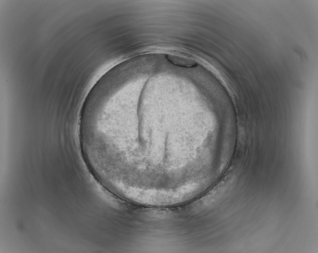X0000112091050200909011100