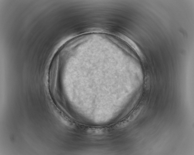 X0000112091051200909011100