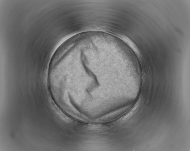 X0000112091052200909011100