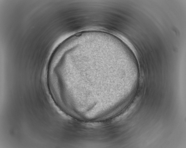 X0000112091053200909011100