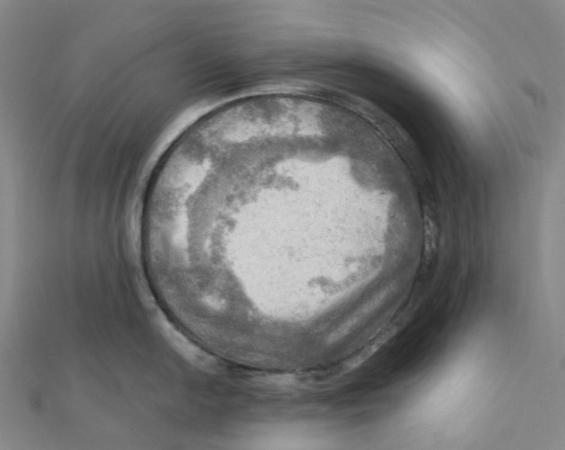 X0000112091054200909011100