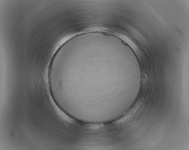 X0000112091055200909011100
