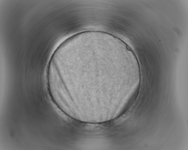 X0000112091056200909011100