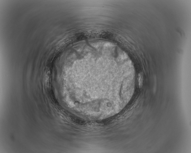 X0000112091059200909011100
