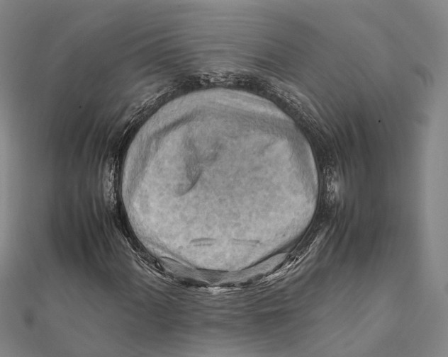 X0000112091060200909011100