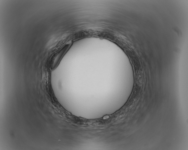 X0000112091061200909011100